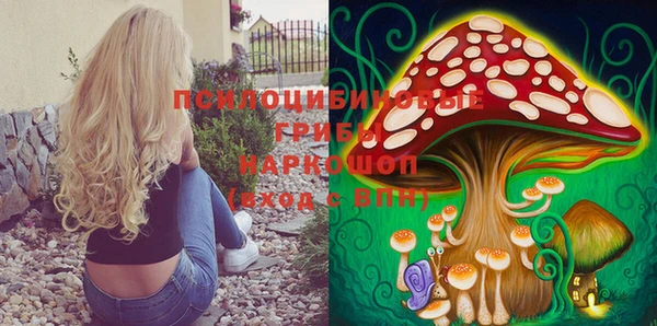 прущие крисы Новозыбков