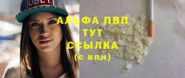 прущие крисы Новозыбков