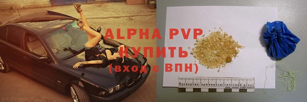 прущие крисы Новозыбков