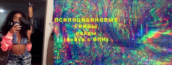 герыч Мегион