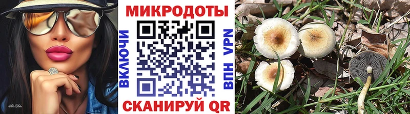 Галлюциногенные грибы Psilocybe  продажа наркотиков  Новотроицк 