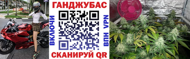 закладка  МЕГА онион  Каннабис планчик  Новотроицк 